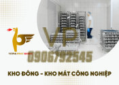 Kho đông - kho mát công nghiệp: Những điều cần lưu ý khi lắp đặt